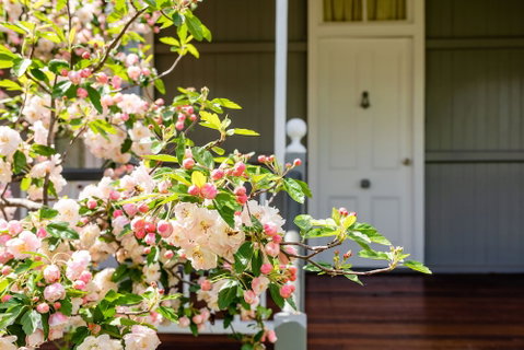 Apple Blossom Cottage - Hervey Bay Accommodation 0