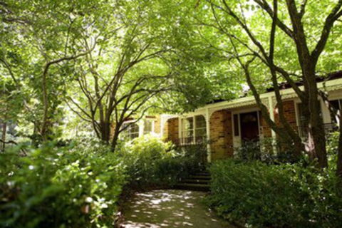 Leura Camellias - Tourism Hervey Bay 0