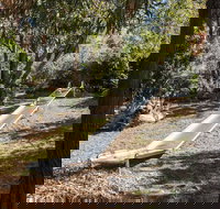 Monigatti - Hervey Bay Accommodation