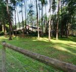 Fernglade on Menzies - Hervey Bay Accommodation