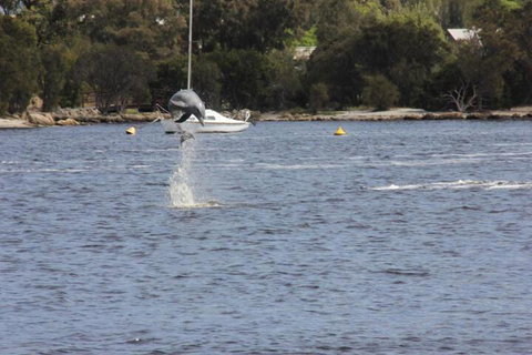 Tani Hill - Hervey Bay Accommodation 1