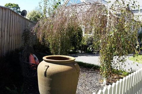 Creek Cottage Bed & Breakfast - Hervey Bay Accommodation 4