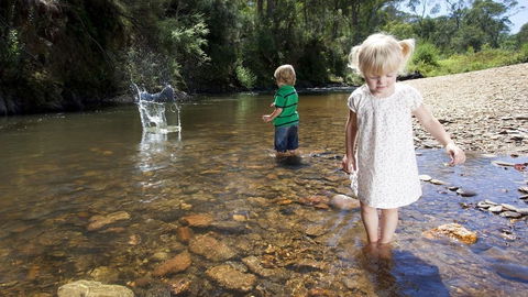 Mystic View Cottage Wandiligong - Tourism Hervey Bay 4