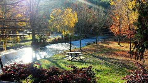 Mystic View Cottage Wandiligong - Tourism Hervey Bay 2