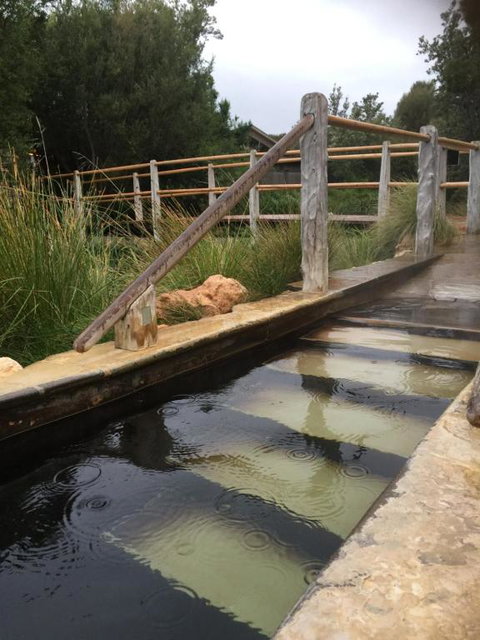 Bayview Gardens Apartments - Hervey Bay Accommodation 1