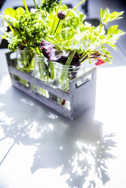 Alkina Lodge - Tourism Hervey Bay 6