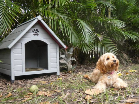 CHILL OUT BEACH HOUSE At FORSTER - Hervey Bay Accommodation 3