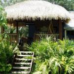 Mango Tourist Hostel - Hervey Bay Accommodation 0