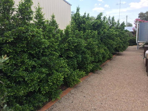 Gulgong Telegraph Station - Hervey Bay Accommodation 5