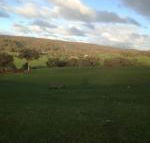 Mancuso Country Cottage Retreat - Hervey Bay Accommodation