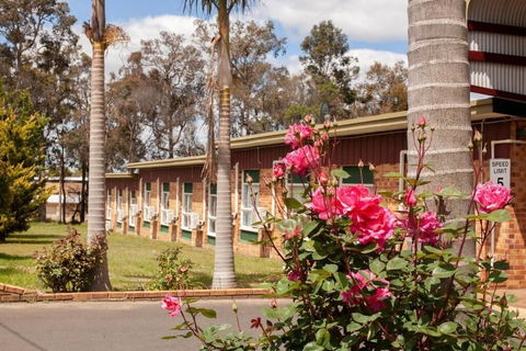 Manjimup Motor Inn - Tourism Hervey Bay 1
