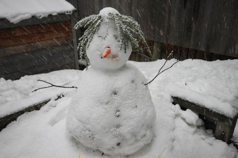 CHILL OUT At THREDBO - Hervey Bay Accommodation 2