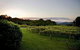 Flame Hill Vineyard - thumb 6
