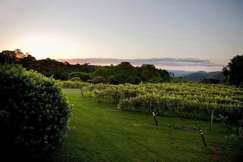 Flame Hill Vineyard - Hervey Bay Accommodation 6