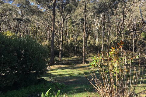 The Kitchen Cottage - Tourism Hervey Bay 3