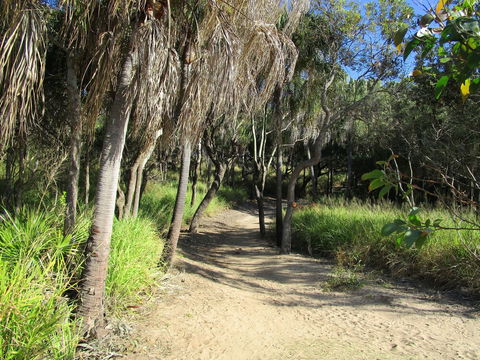 The Lovely Cottages Country Retreat - Tourism Hervey Bay 5