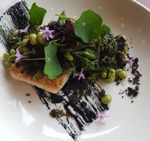 Ocean View Estates Winery And Restaurant - Hervey Bay Accommodation 12