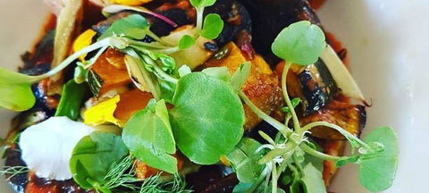 Ocean View Estates Winery And Restaurant - Hervey Bay Accommodation 1