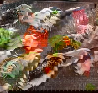 Toshi's Japanese Restaurant - Tourism Hervey Bay