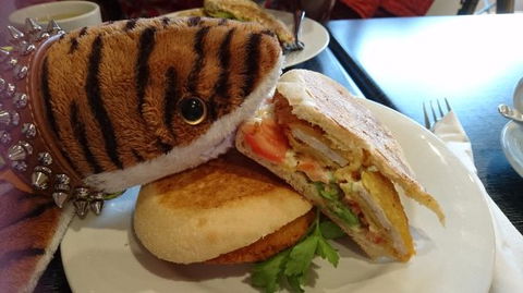 Chocomella - Hervey Bay Accommodation 0