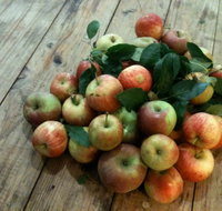 Ellie's Kitchen Foodstore - Hervey Bay Accommodation