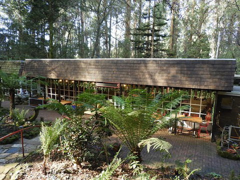 Canadian Pancakes - Hervey Bay Accommodation 0