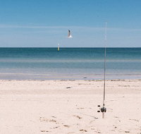Paper Fish - Hervey Bay Accommodation