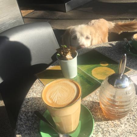 Espresso Koo - Hervey Bay Accommodation 0