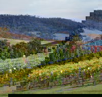 De Bortoli Winery  Restaurant - Hervey Bay Accommodation