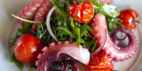 Afghan Valley Restaurant - Hervey Bay Accommodation 9
