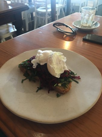 Sonny - Hervey Bay Accommodation 0