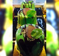 2 Tarts Baking - Hervey Bay Accommodation