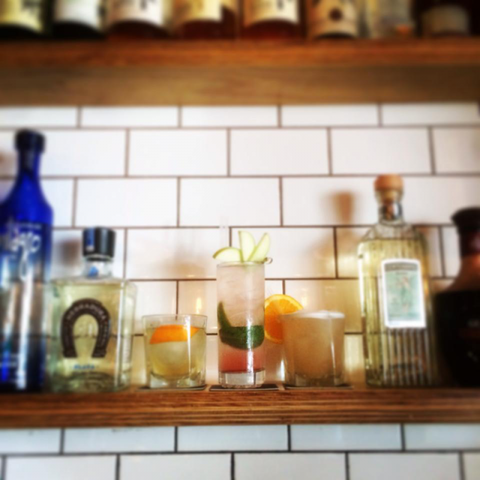 Dagwood - Tourism Hervey Bay 0