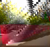 Dinoni - Hervey Bay Accommodation