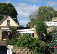 Tipsy Fig - Hervey Bay Accommodation