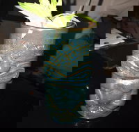 Criniti's Kirrawee - Hervey Bay Accommodation