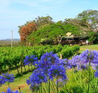Little Fish Cafe - Tourism Hervey Bay