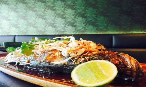 Santini Family Restaurant - Tourism Hervey Bay 5