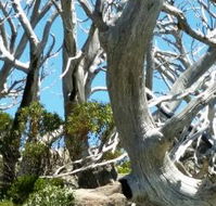 Alpine Eyre - Hervey Bay Accommodation