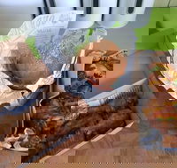 Hello Harry - Tourism Hervey Bay