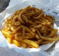 Starfish - Hervey Bay Accommodation