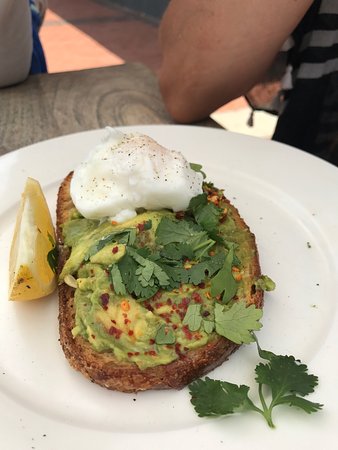 Avoca Beach NSW Hervey Bay Accommodation