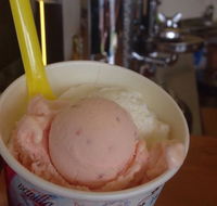 Bermagui Gelati Clinic - Hervey Bay Accommodation