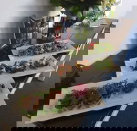 Blue Gum Cafe and Restaurant - Hervey Bay Accommodation