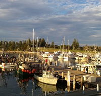 Horse  Camel - Hervey Bay Accommodation