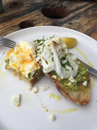 The Green Room - Hervey Bay Accommodation 0