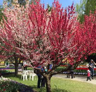 Mirchi Indian Cuisine - Tourism Hervey Bay