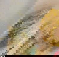 Champs Bistro - Tourism Hervey Bay