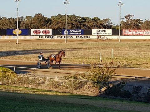 Paceway - Hervey Bay Accommodation 0