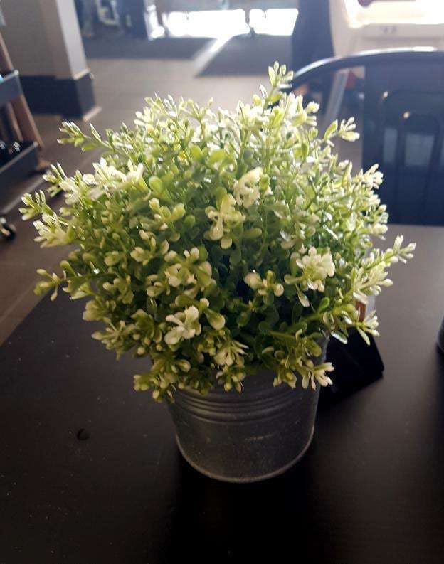 Seville Grove WA Tourism Hervey Bay